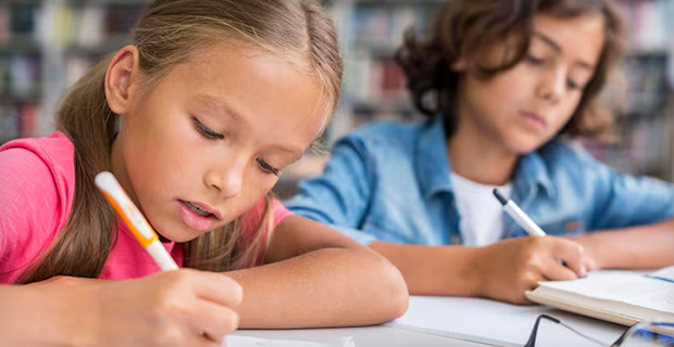 Vista's Free Homework Help Program