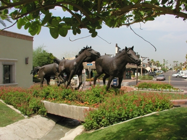 Yearlings - Scottsdale