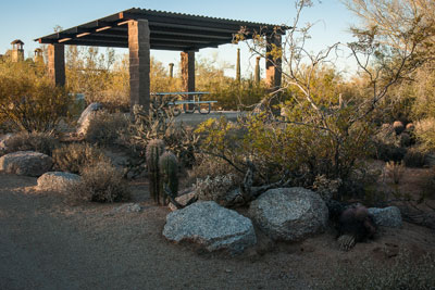 Florence Ely Nelson Desert Park