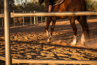 Mescal Park Equestrian Arena