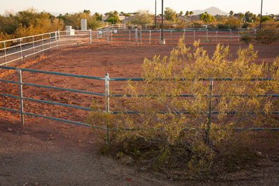 Stonegate Equestrian Park