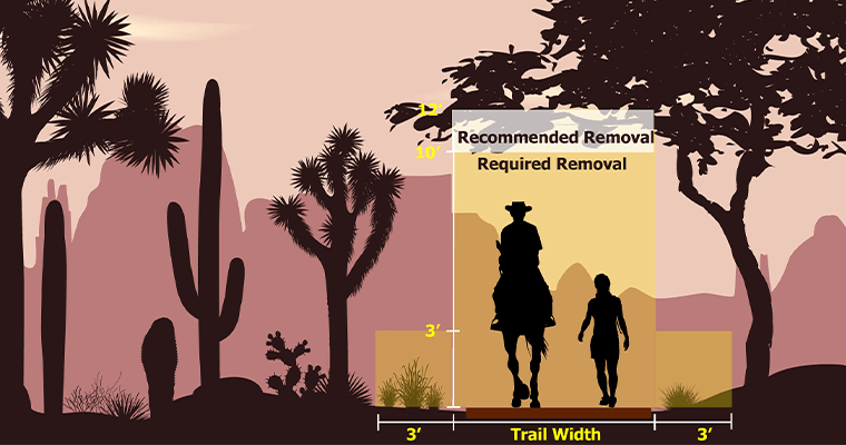 Graphic showing the required distance and height for maintenance